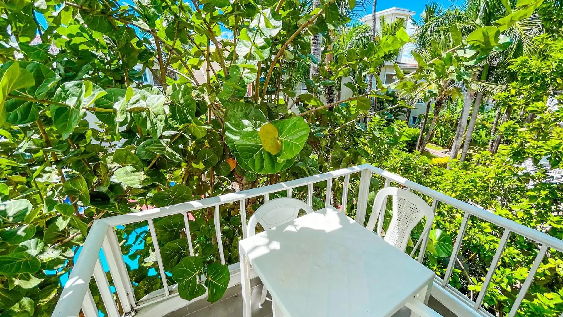 Tropical Adventures Sol Caribes Del Mar Studios Suites Bavaro Beach & Pool Punta Cana Hotel